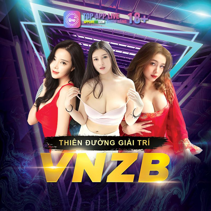 vnzb-live-4